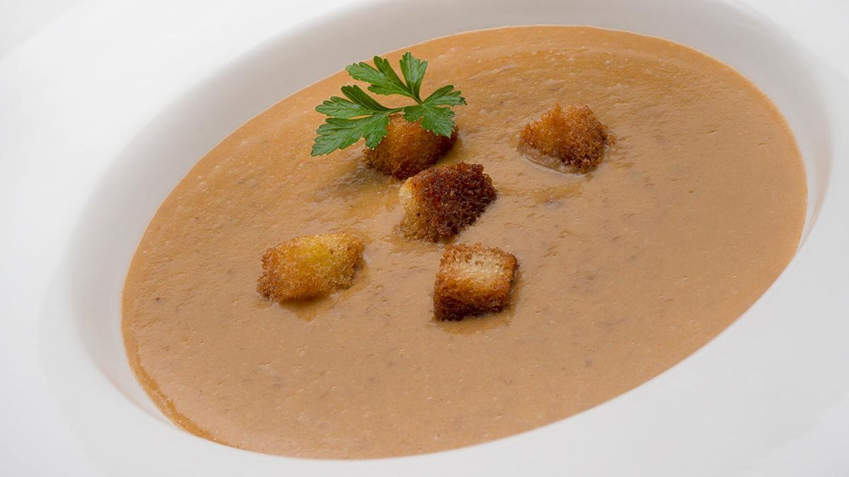 karl6629 sopa lentejas xl