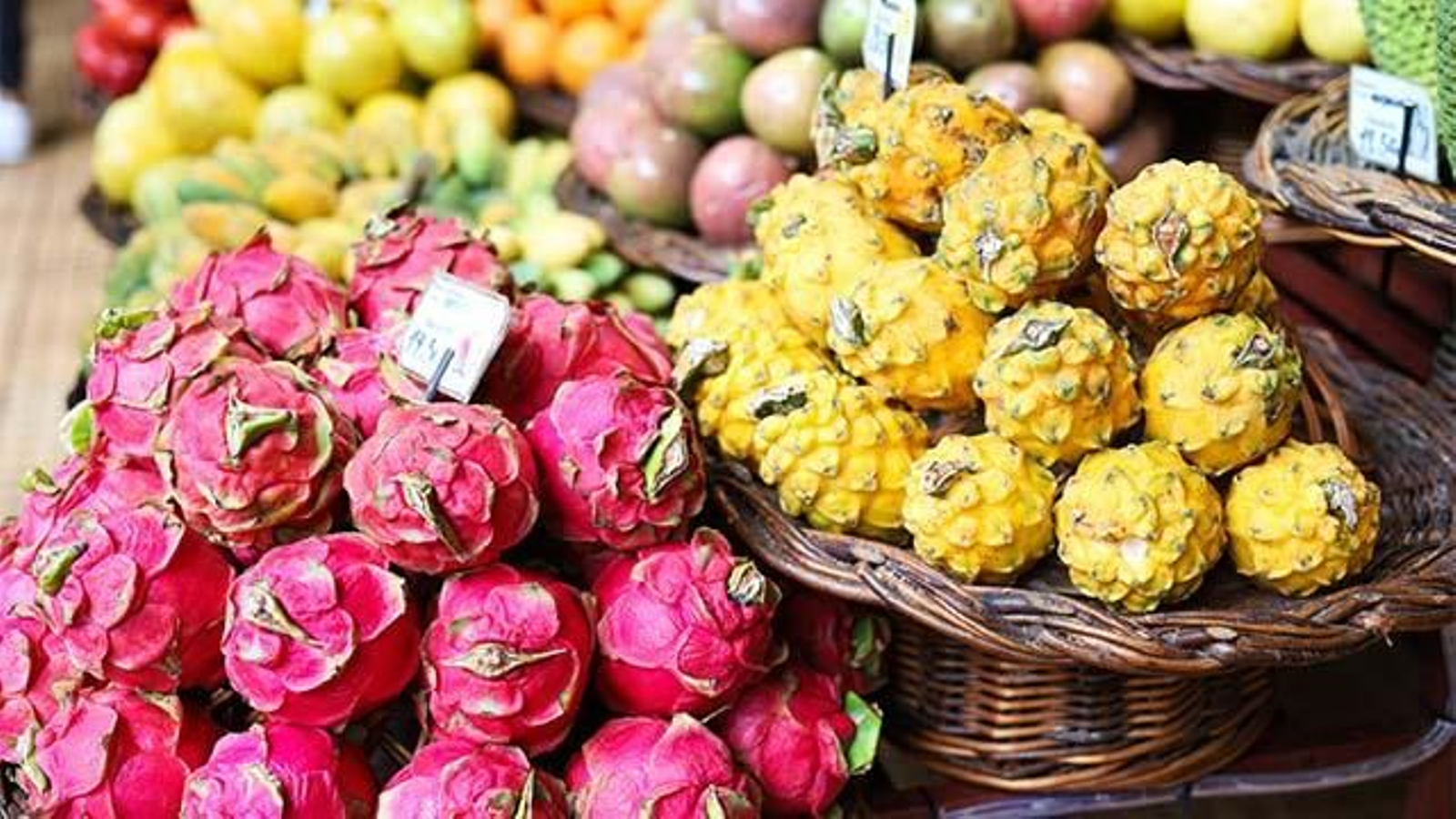 Tipos de fruta del dragón: Pitahaya roja y pitahaya amarilla
