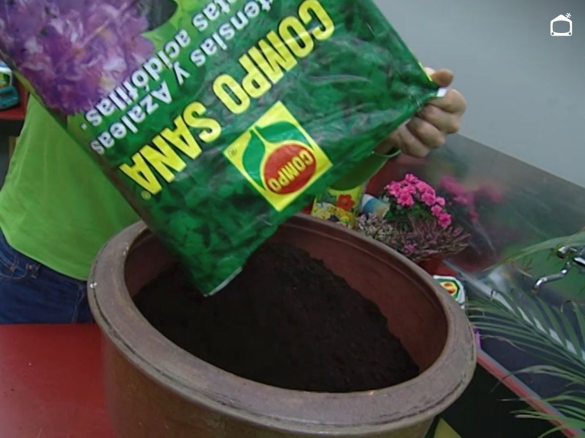 Sustrato para plantas ácidas.