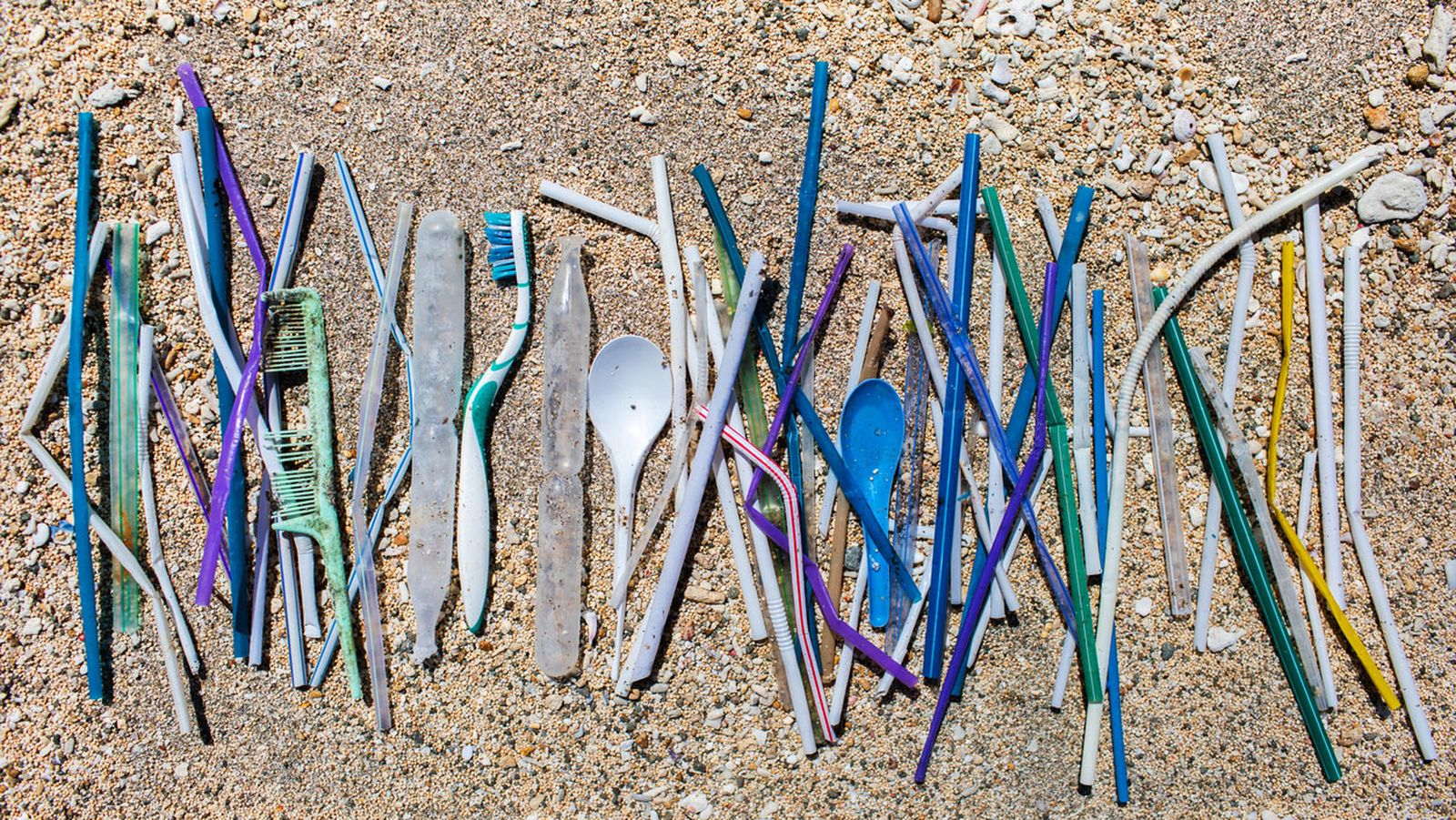 reciclar cepillos reciclar cepillos