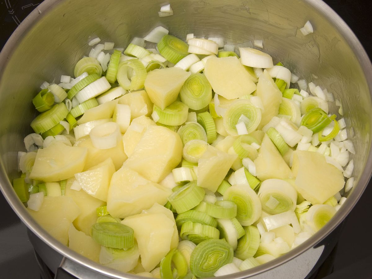 4979 Vichyssoise paso2