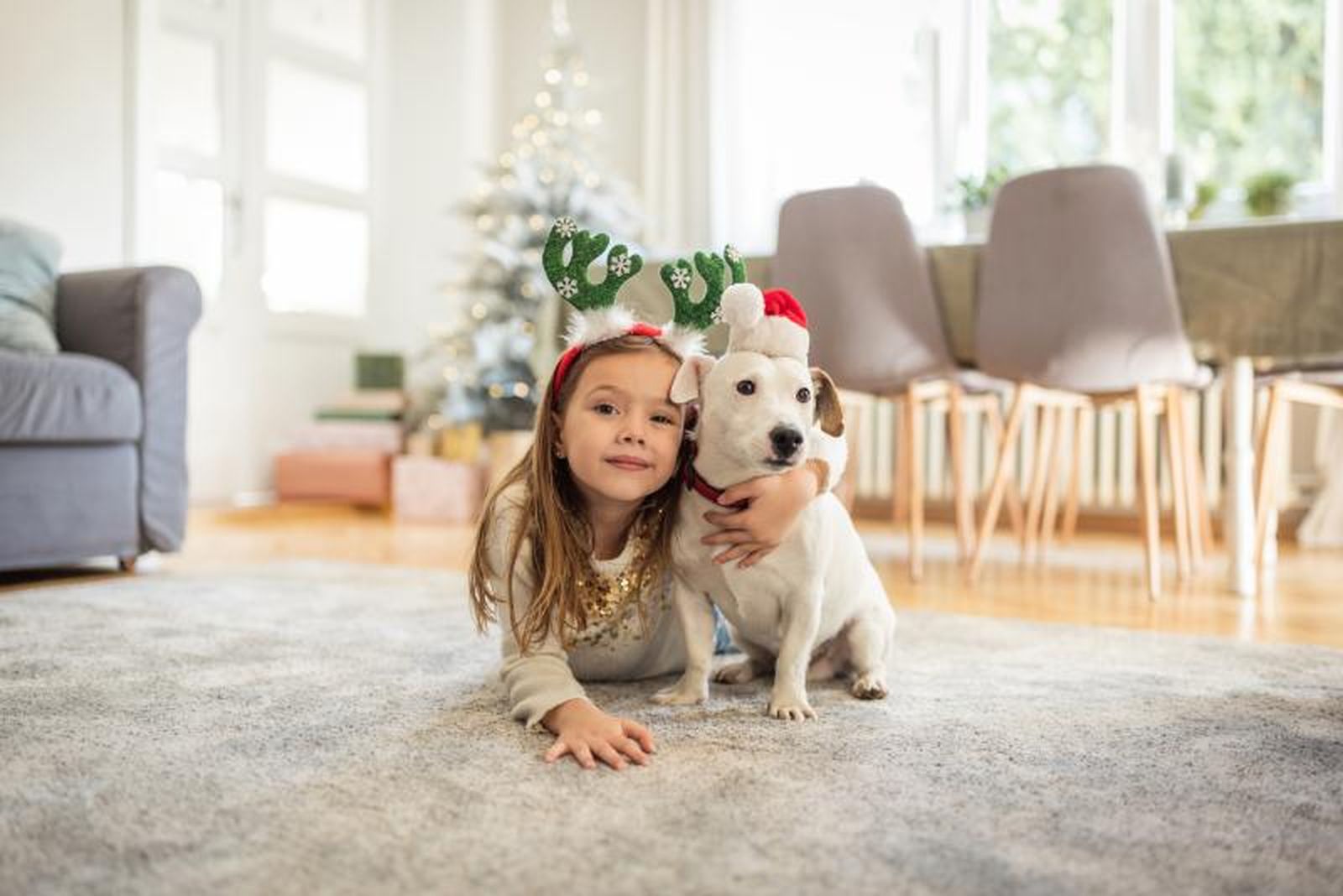 Acoger a un animal en Navidad es una acción solidaria inigualable Acoger a un animal en Navidad es una acción solidaria inigualable