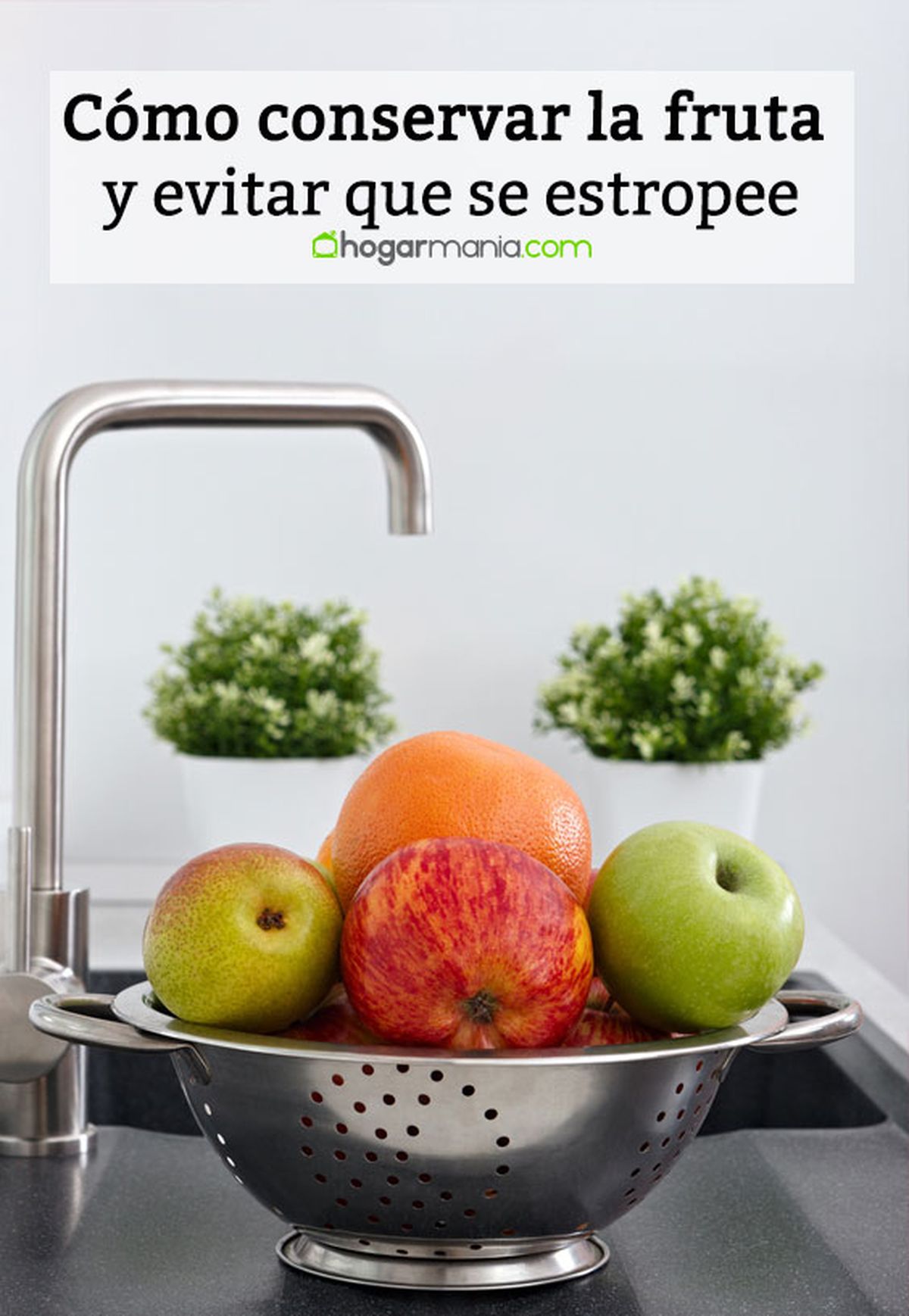 como conservar fruta pin