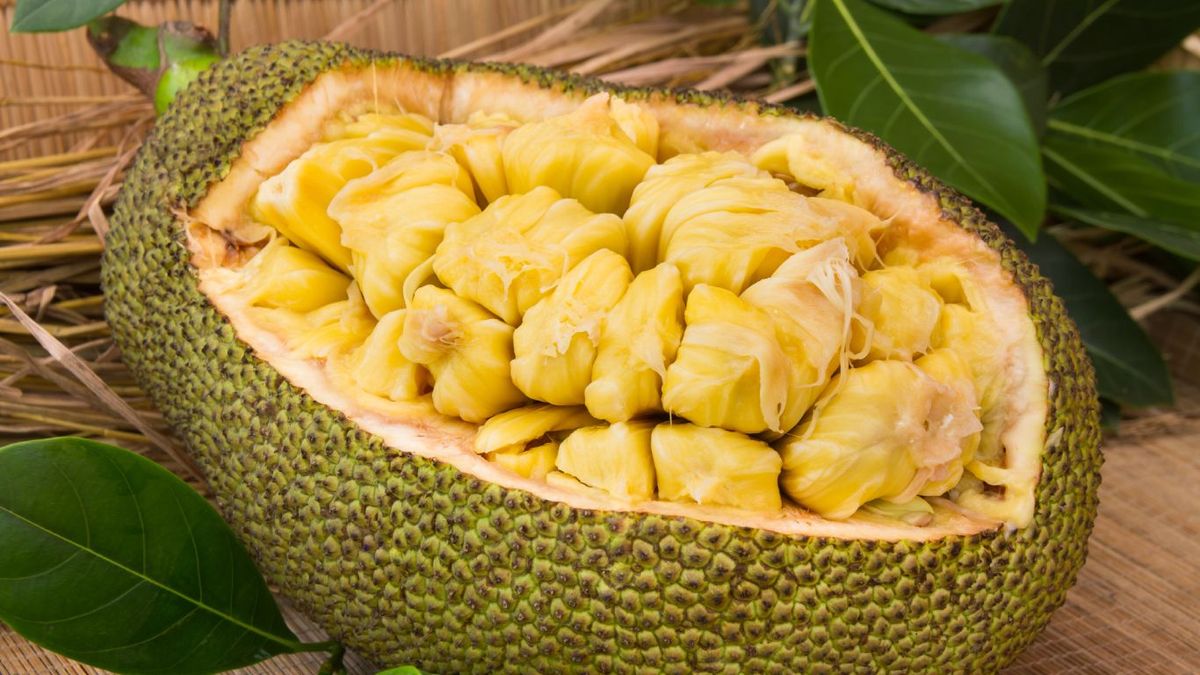 Yaca o jackfruit