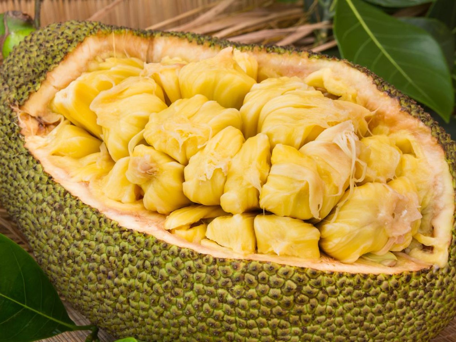 Yaca o jackfruit Yaca o jackfruit