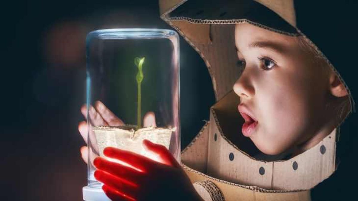 Niño jugando con un brote en un bote de cristal