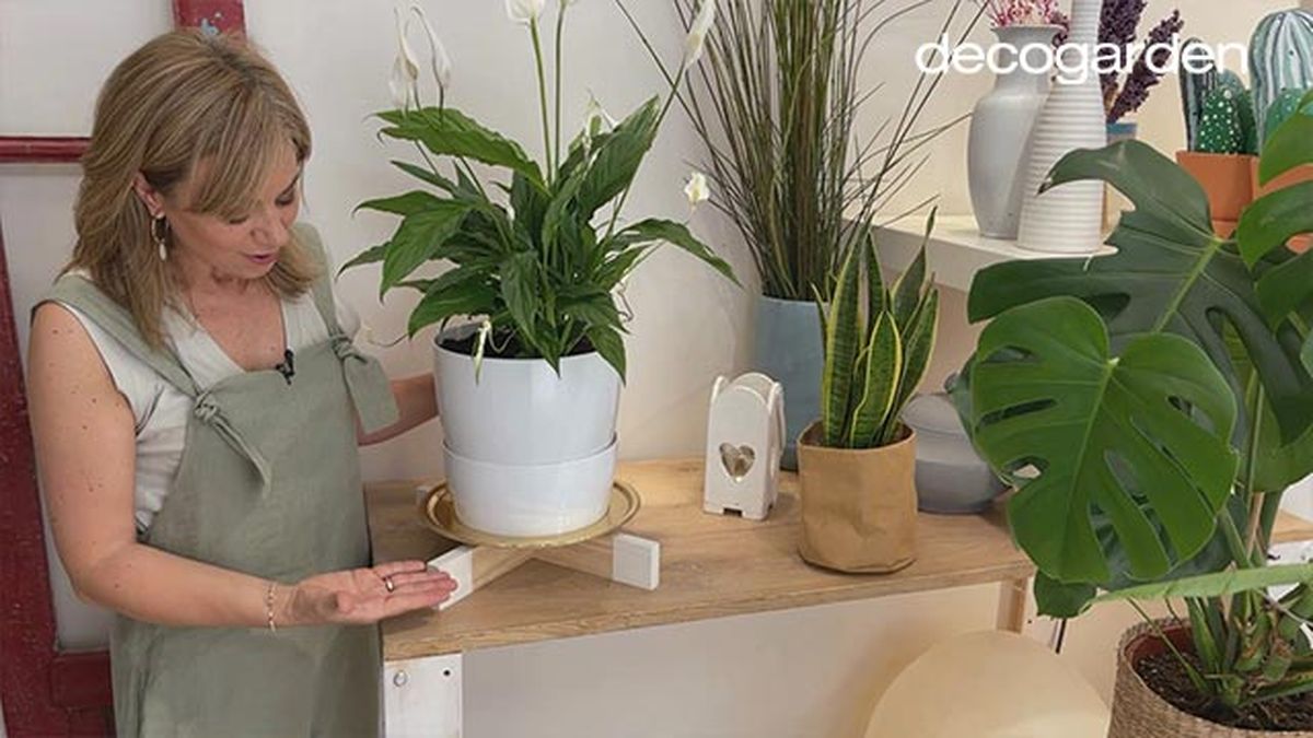 soporte para plantas paso 11