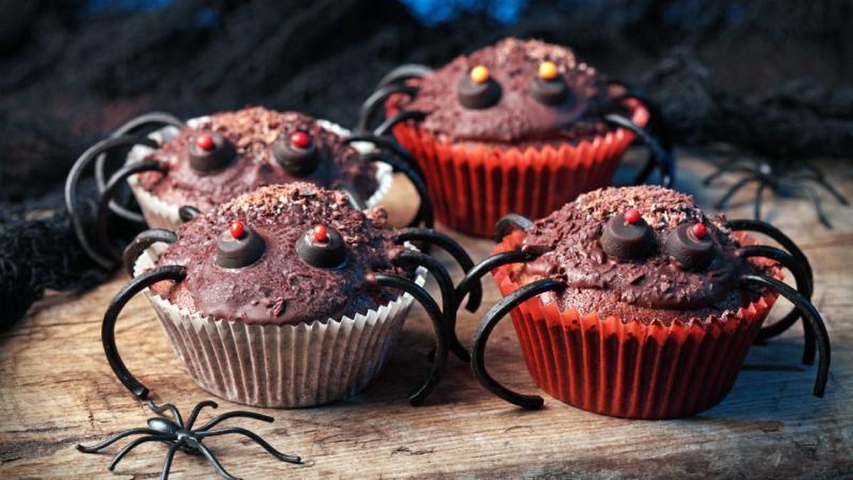 Muffins araña de chocolate