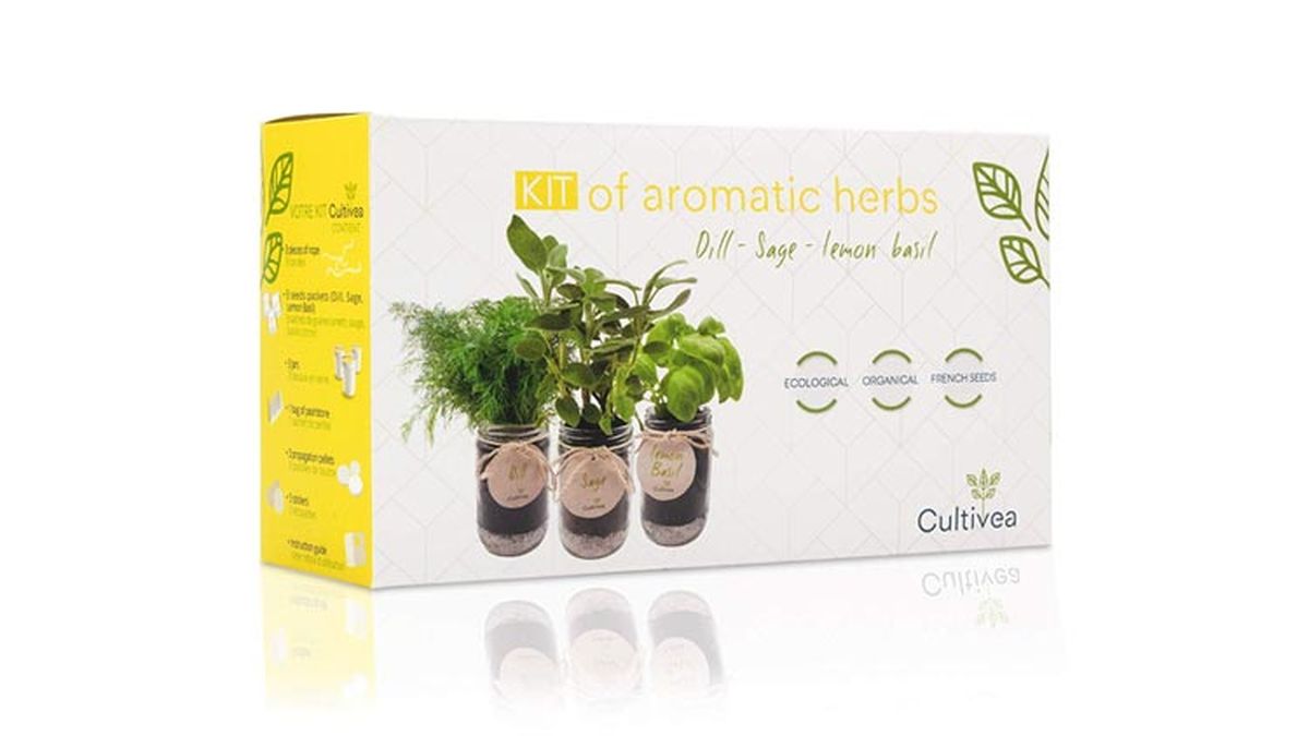 Kit de plantas aromáticas