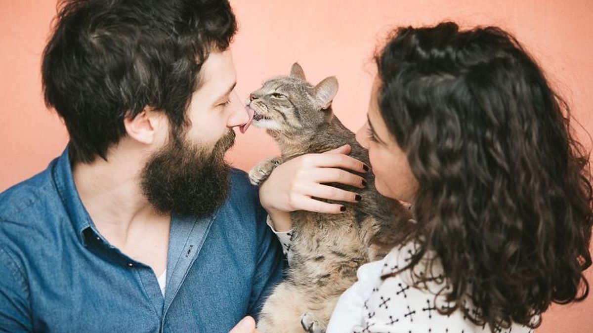 Es importante que tengas en cuenta cuestiones como sus gustos y necesidades.