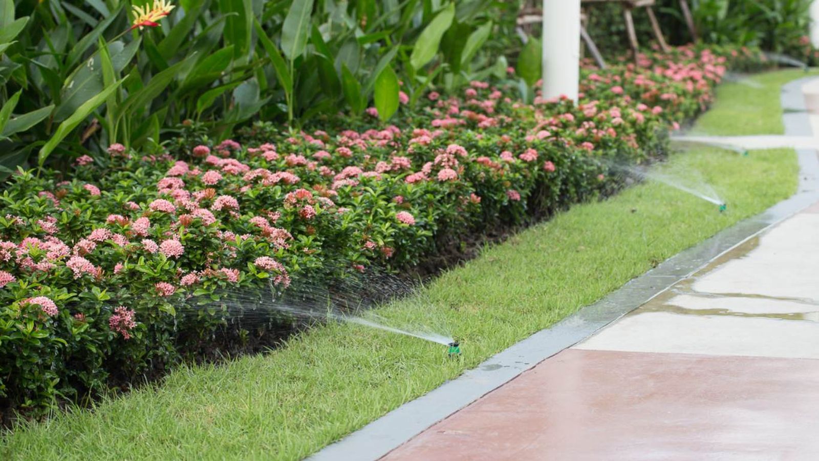 Jardín con rociadores de agua Jardín con rociadores de agua