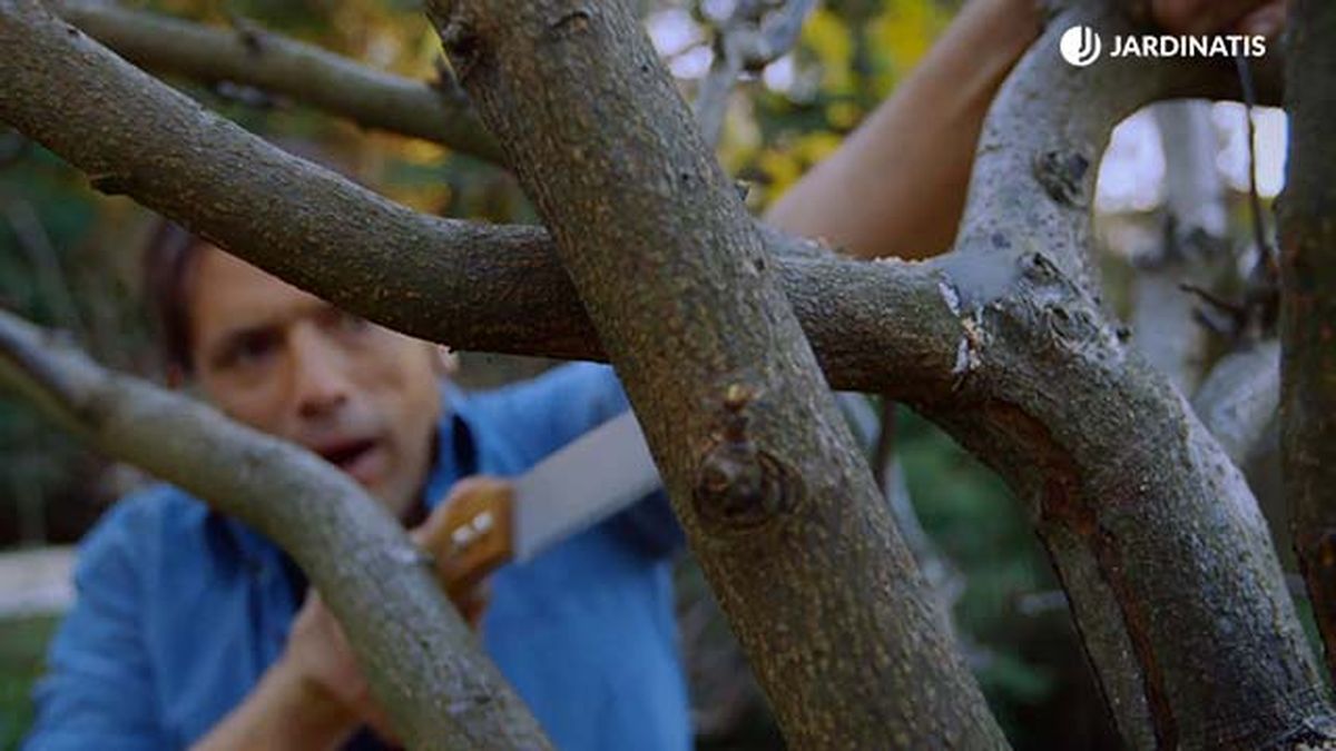 brico 0896 jardin proteger tras poda paso 5