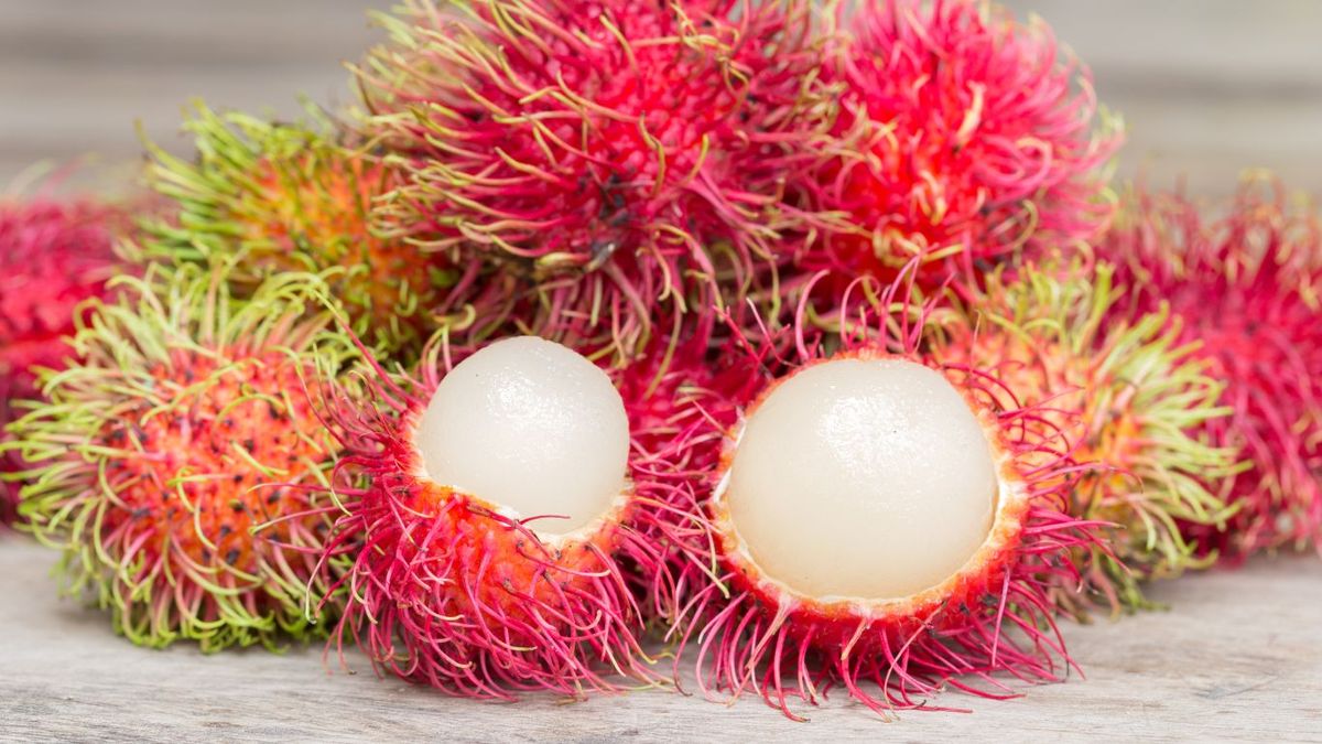 Rambután
