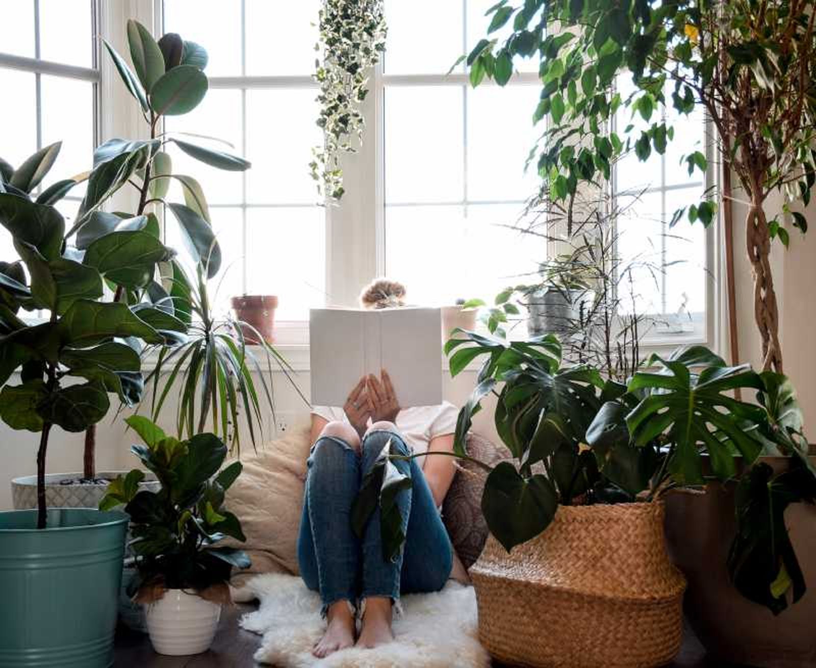 Disfruta de un rincón de relax junto a tus plantas Disfruta de un rincón de relax junto a tus plantas