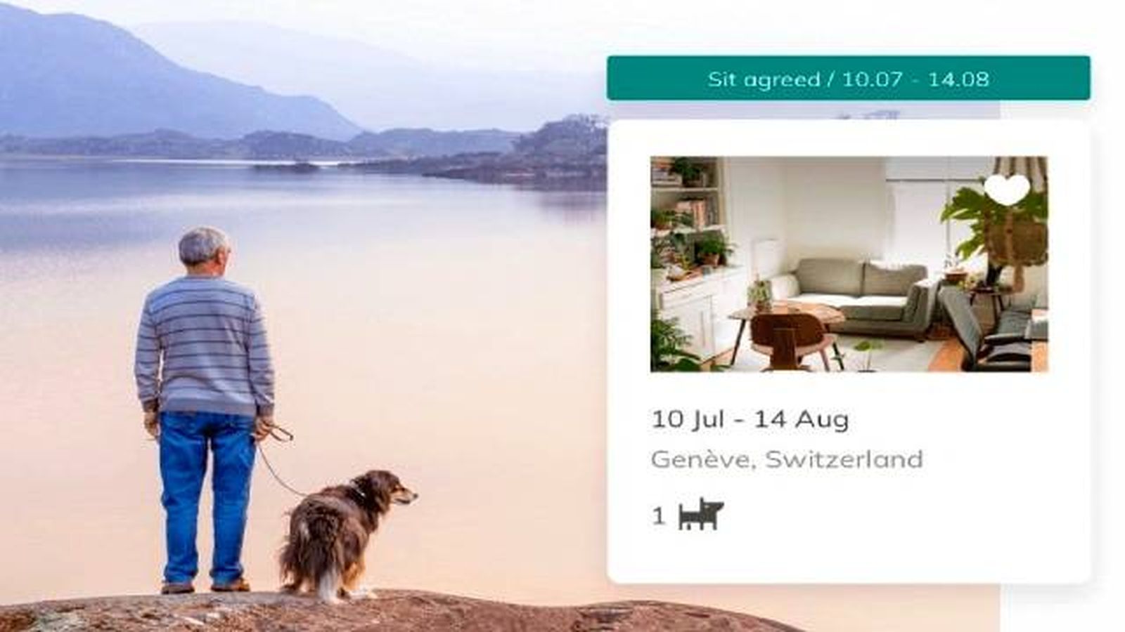pet sitting viajar cuidando mascotas alojamiento gratis pet sitting viajar cuidando mascotas alojamiento gratis