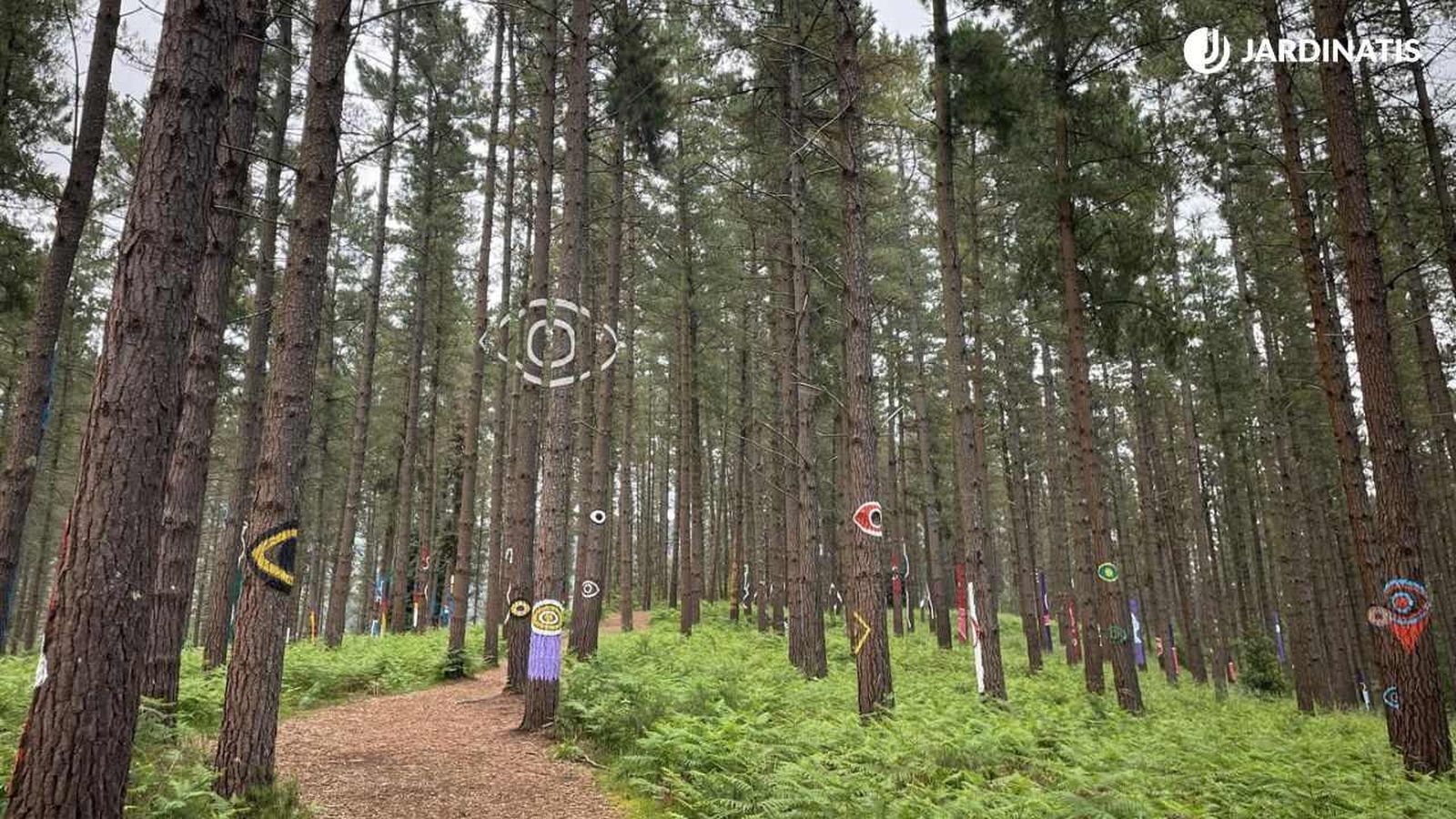 Nuevo Bosque de Oma
