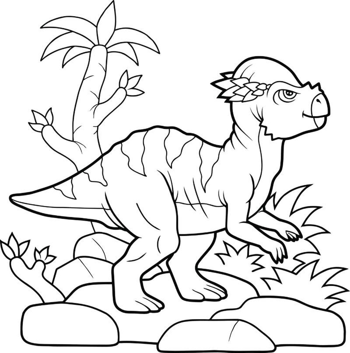 Pachycephalosaurus wyomingensis para colorear.