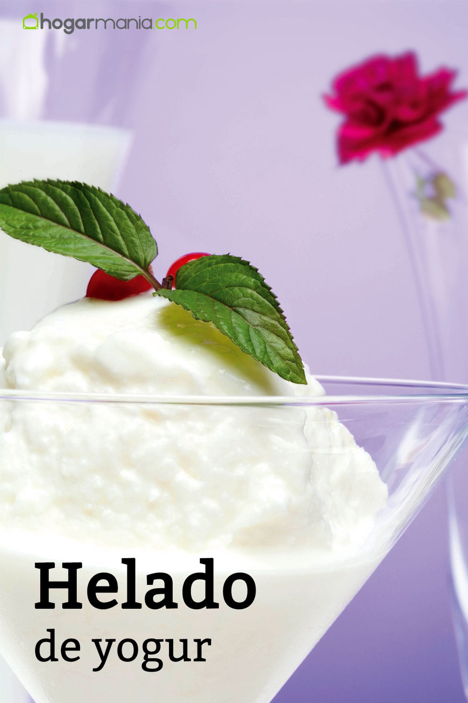 helado de yogur receta helado de yogur receta