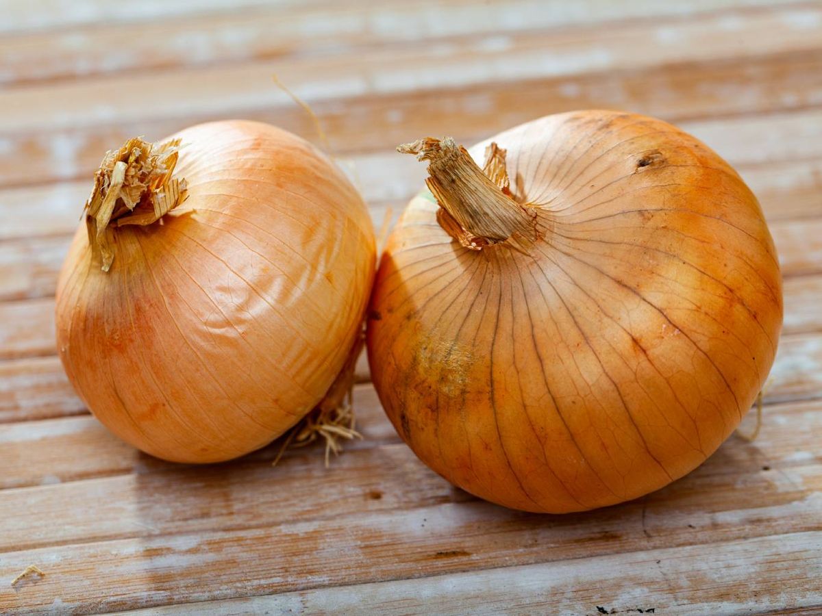 La cebolla amarilla es la más común en la cocina y perfecta para guisos, sopas y tortillas.