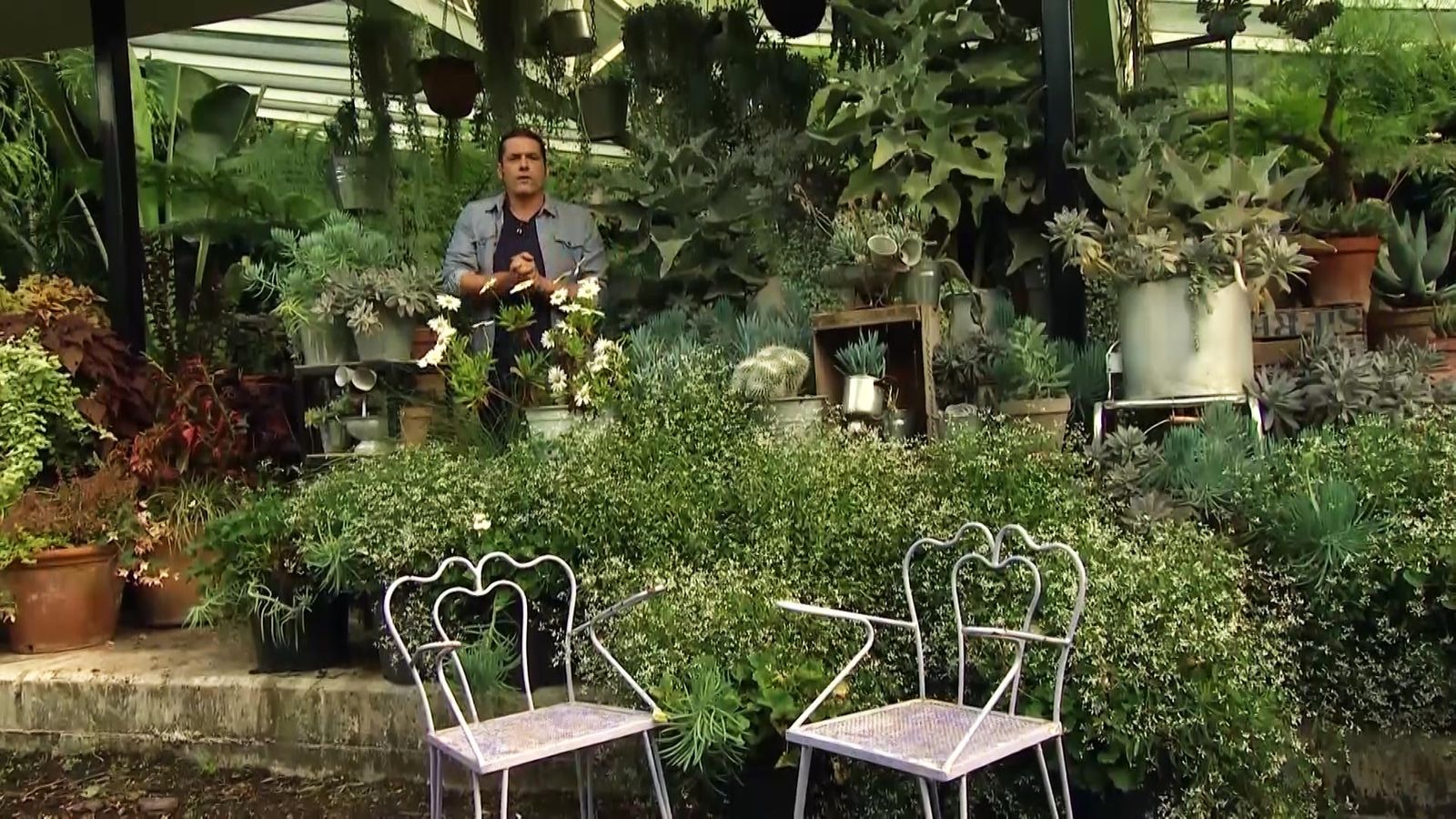 deco711 jardineria plantas hojas grises azules composicion