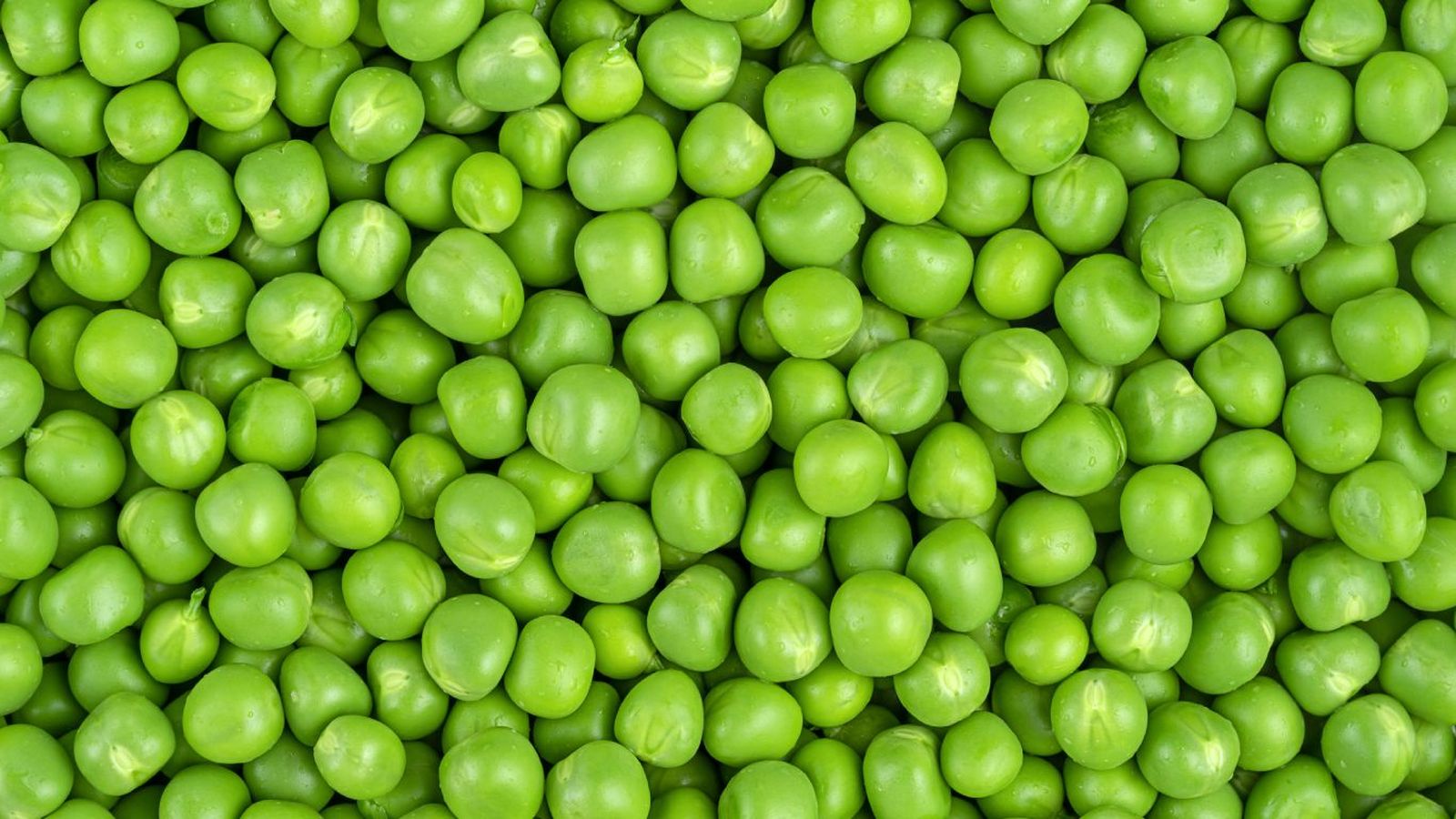 Guisantes