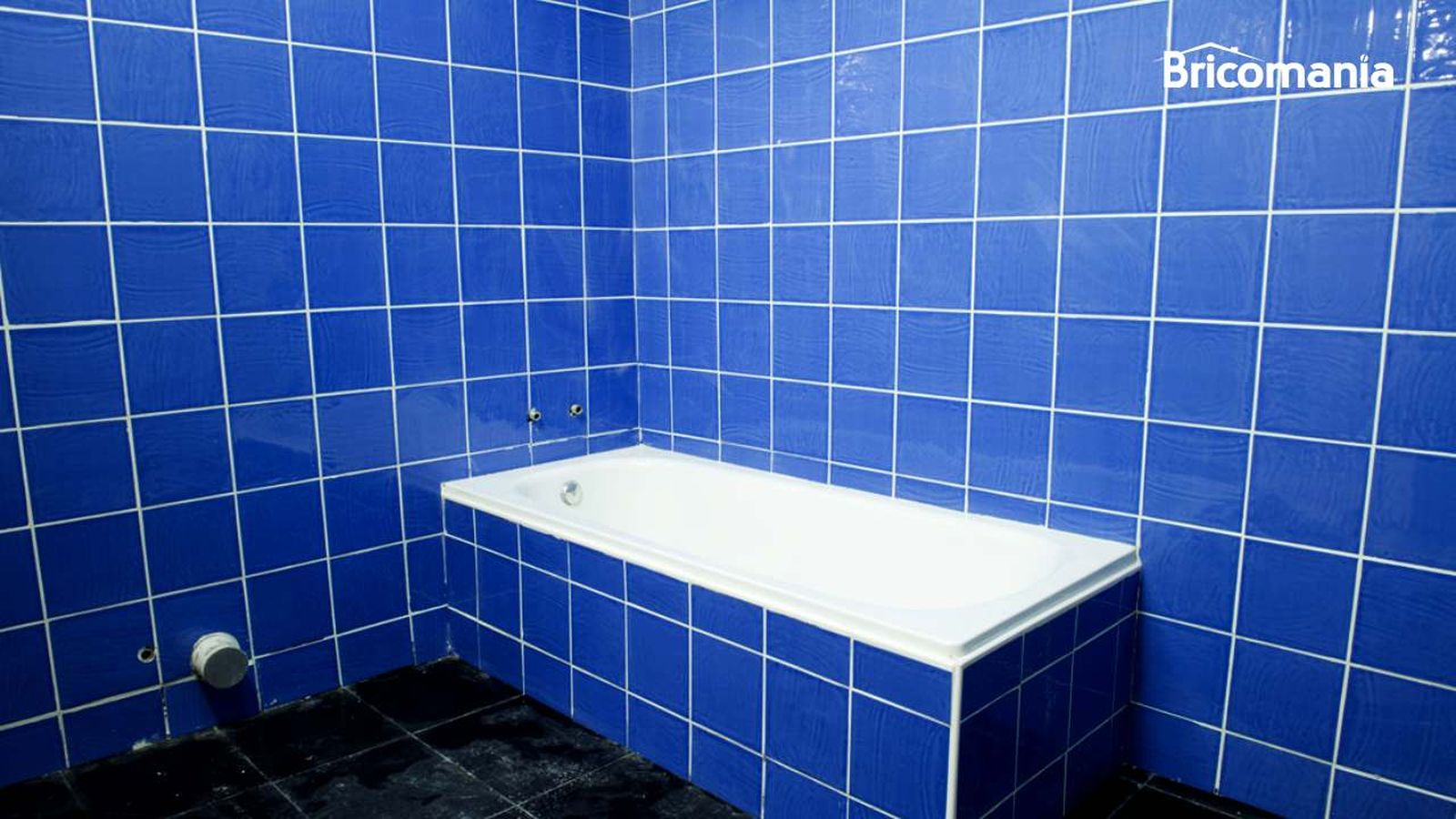 alicatado bano xl