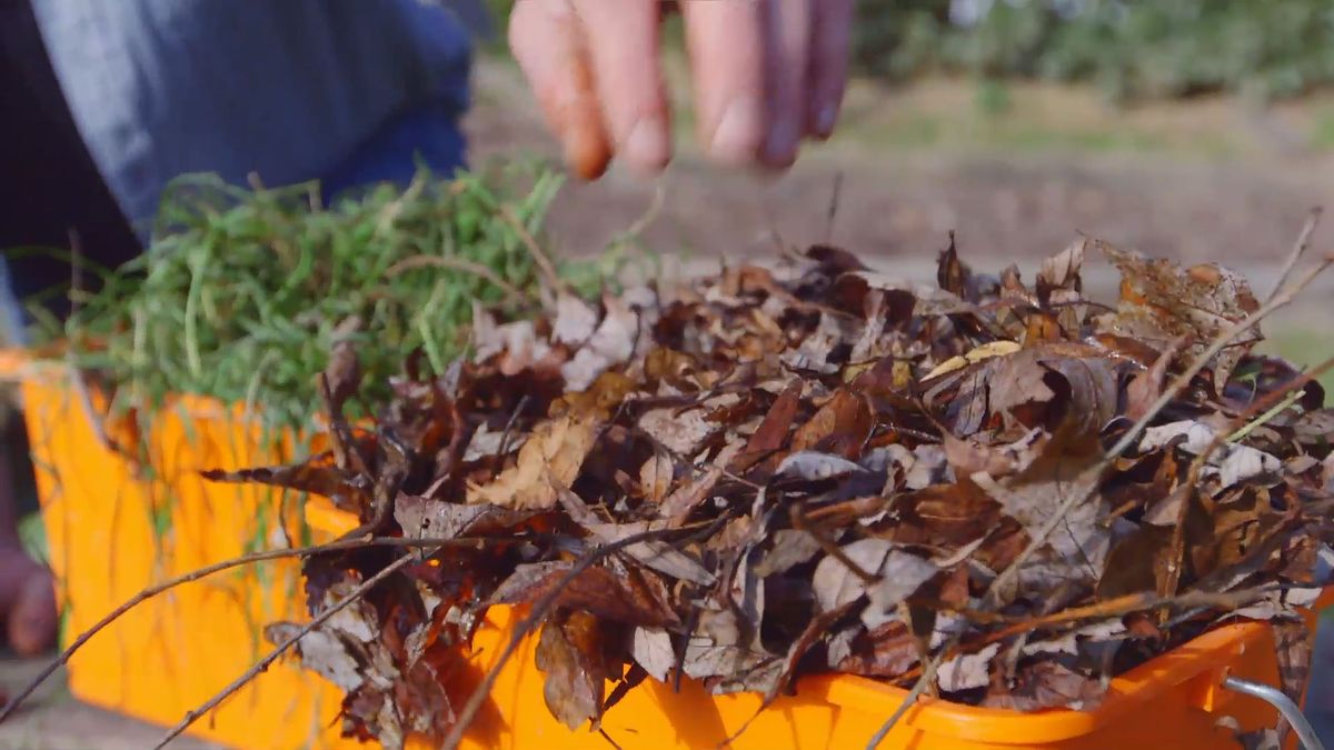 brico 0898 como hacer compost humus materia organica hojarasca