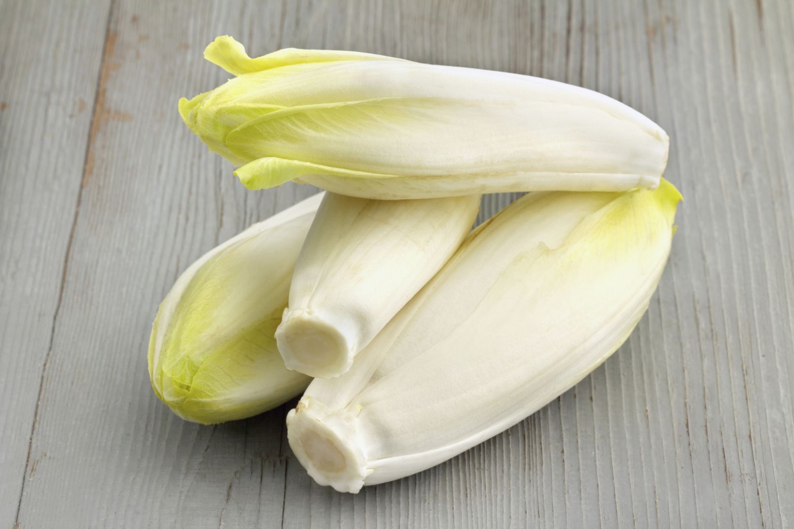 Como cultivar endibias