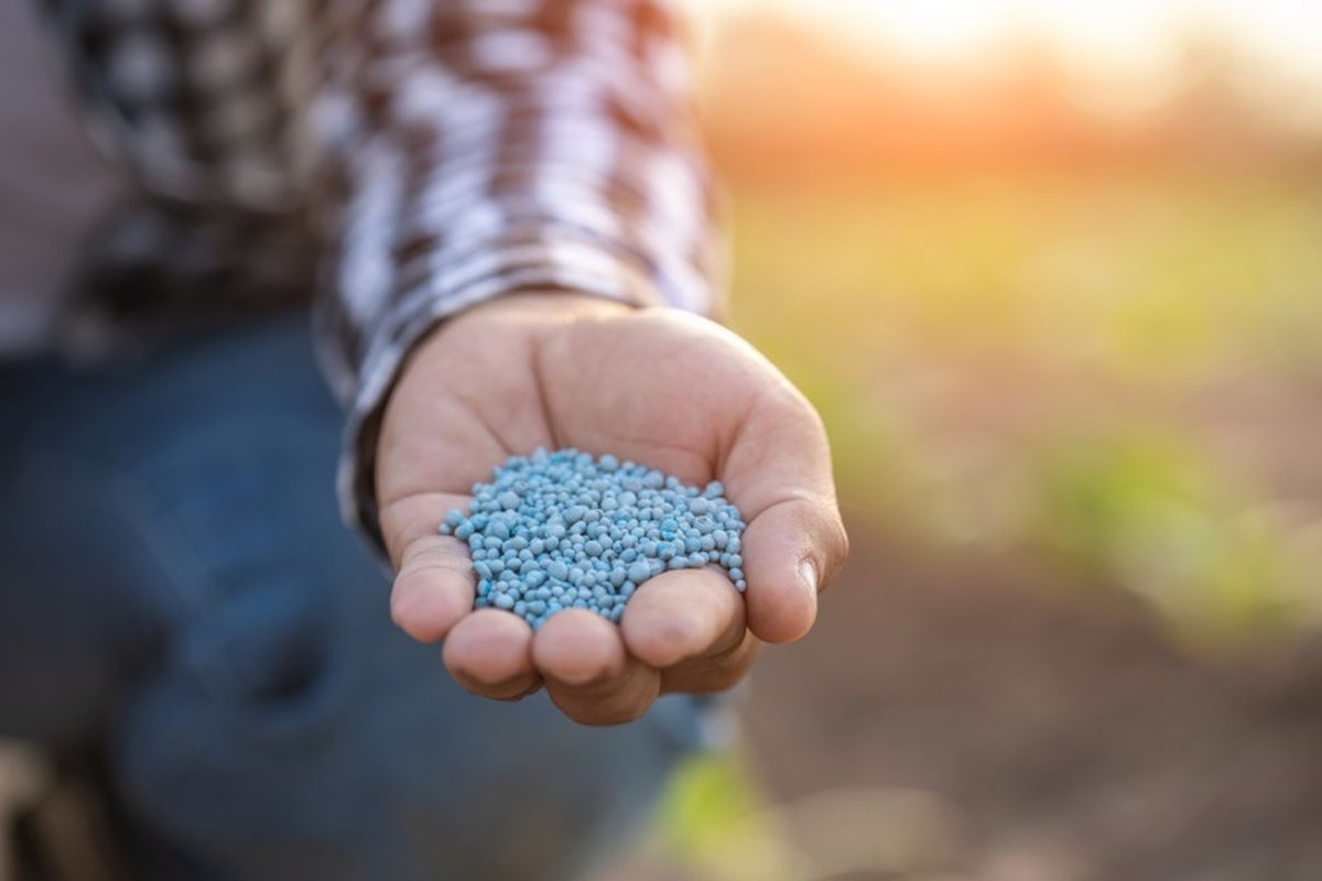 Este abono se aplica sobre la superficie.