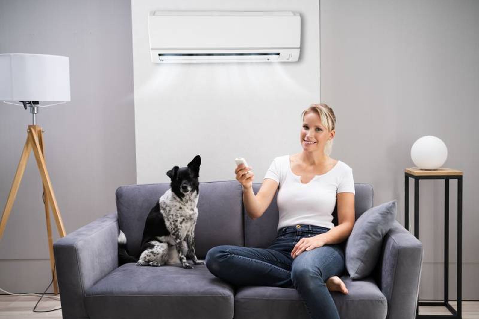 Los perros tienen más dificultad que nosotros para regular la temperatura corporal. Los perros tienen más dificultad que nosotros para regular la temperatura corporal.