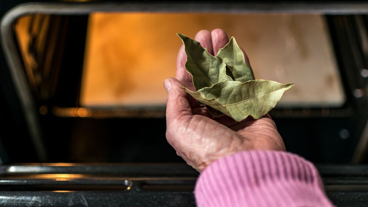 Secar hierbas aromáticas en el horno