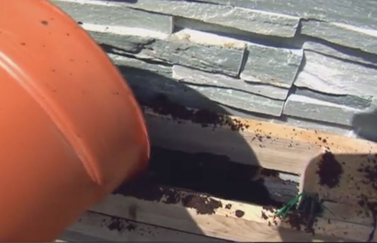 Jardín vertical con un palé paso 3