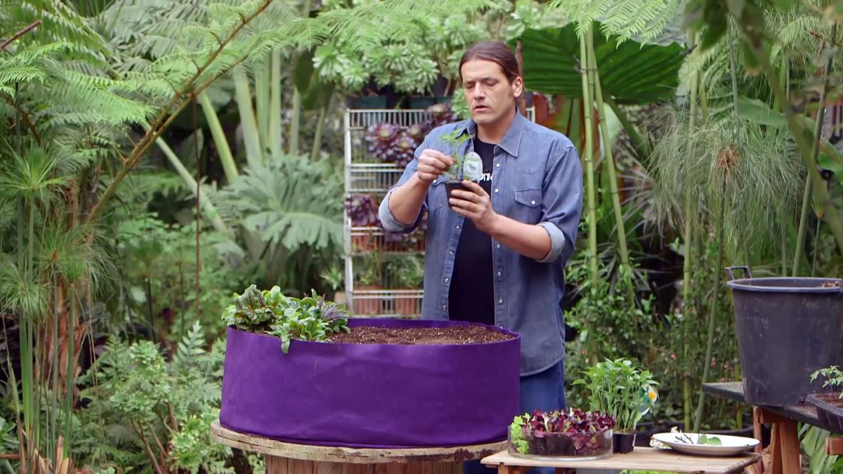 brico 950 3 huerto urbano contenedor geotextil tomatera