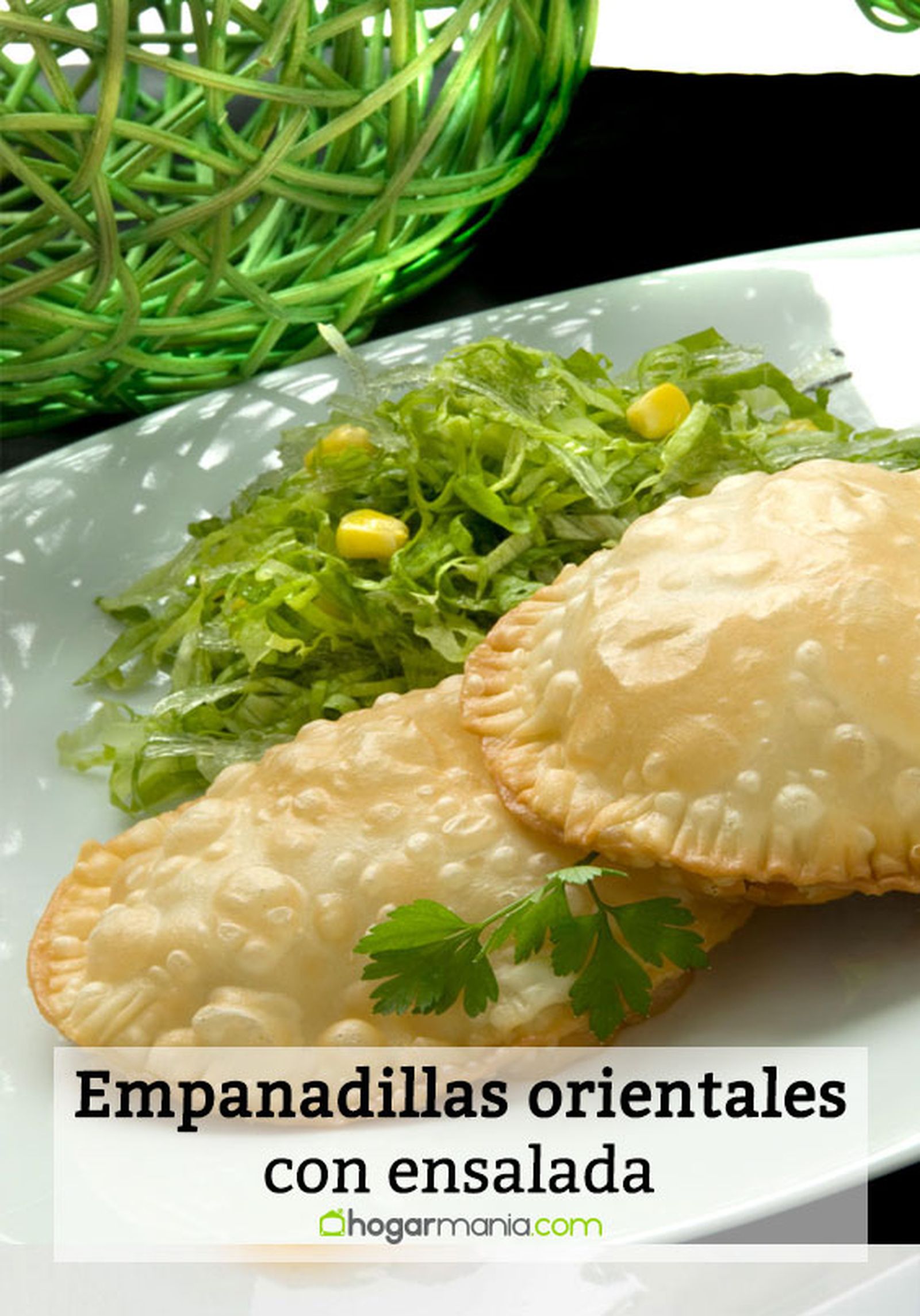 empanadillas orientales con ensalada pin empanadillas orientales con ensalada pin