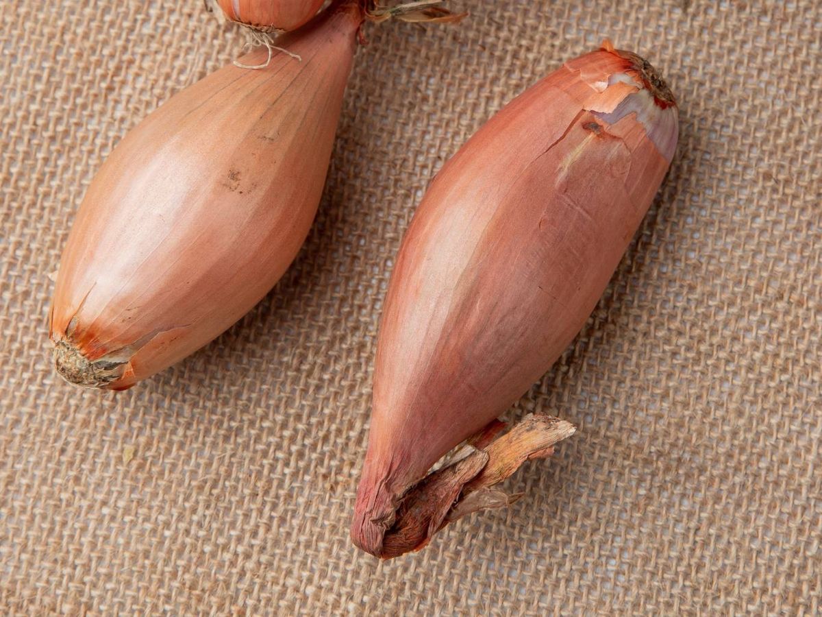 Más dulce que la cebolla común, la chalota es ideal para salsas suaves y recetas delicadas.