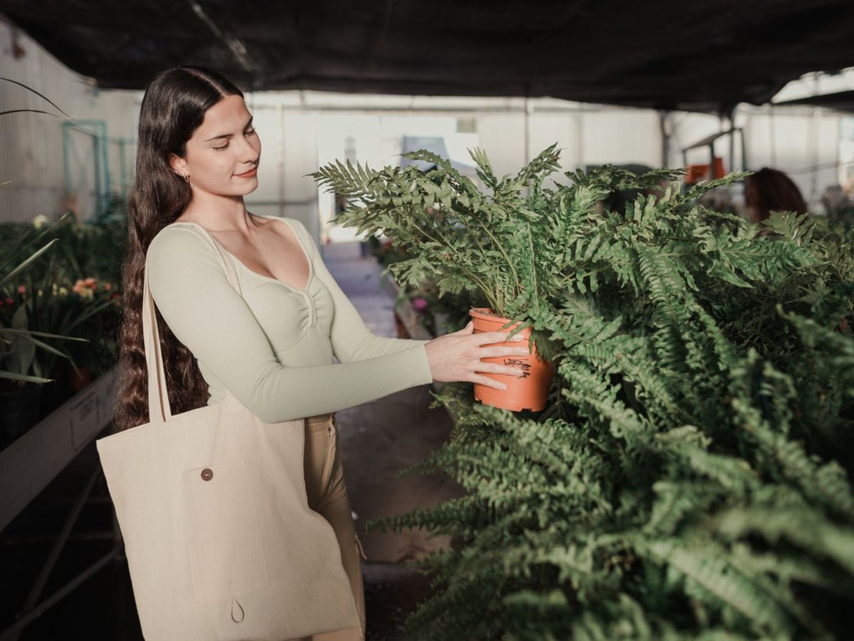 Mujer comprando helechos.