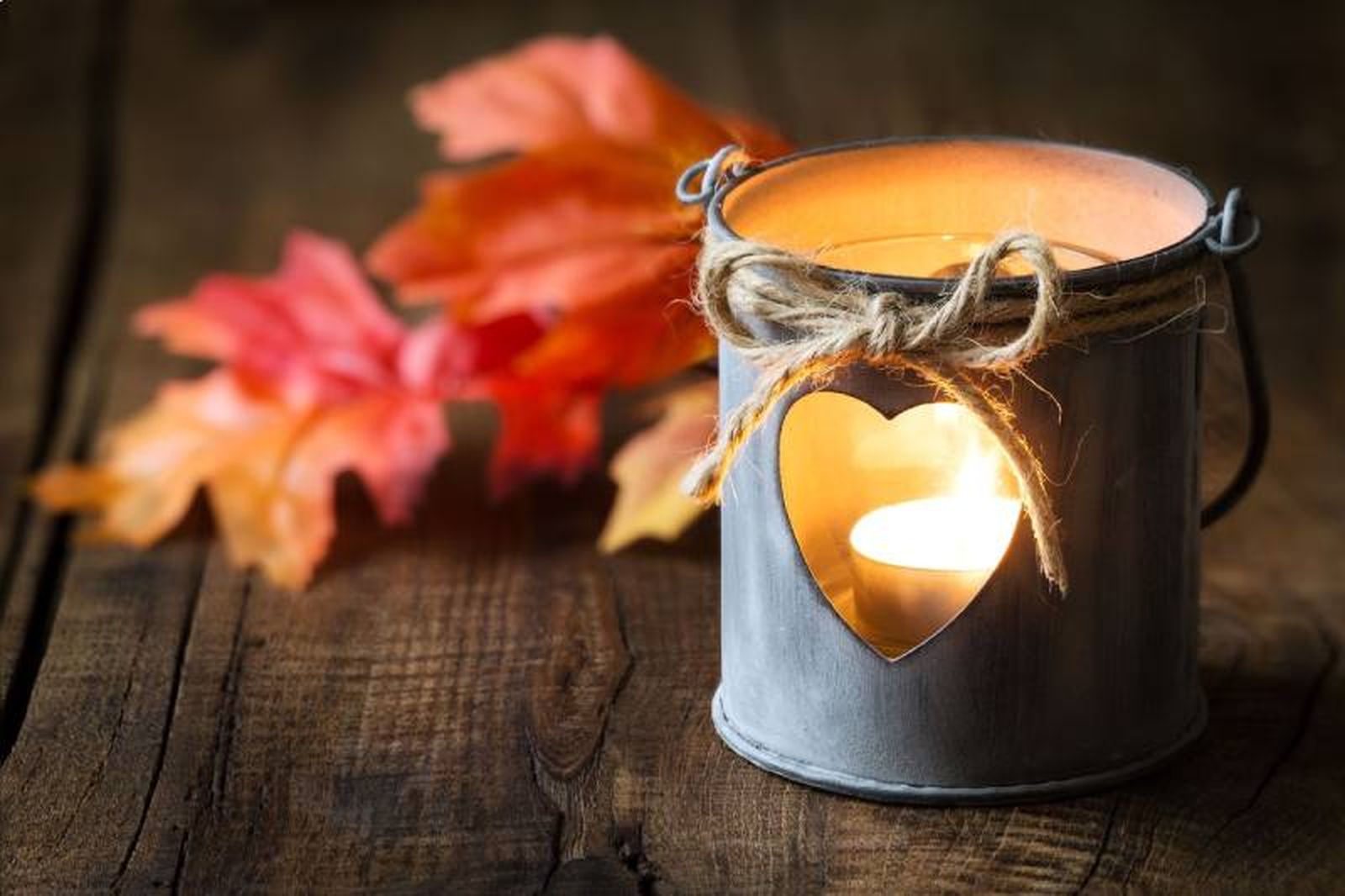 Vela de otoño, especial y decorativa Vela de otoño, especial y decorativa