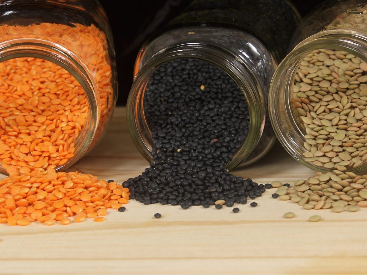 Tipos de lentejas
