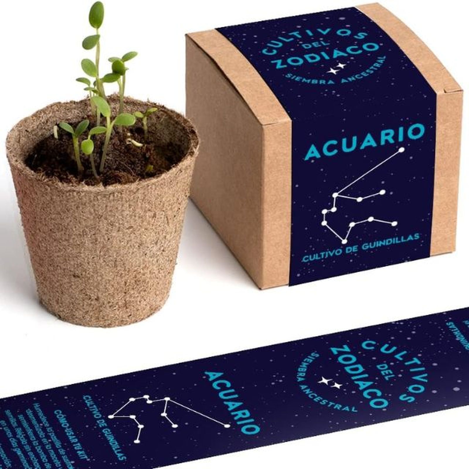 kit autocultivo acuario resetea kit autocultivo acuario resetea