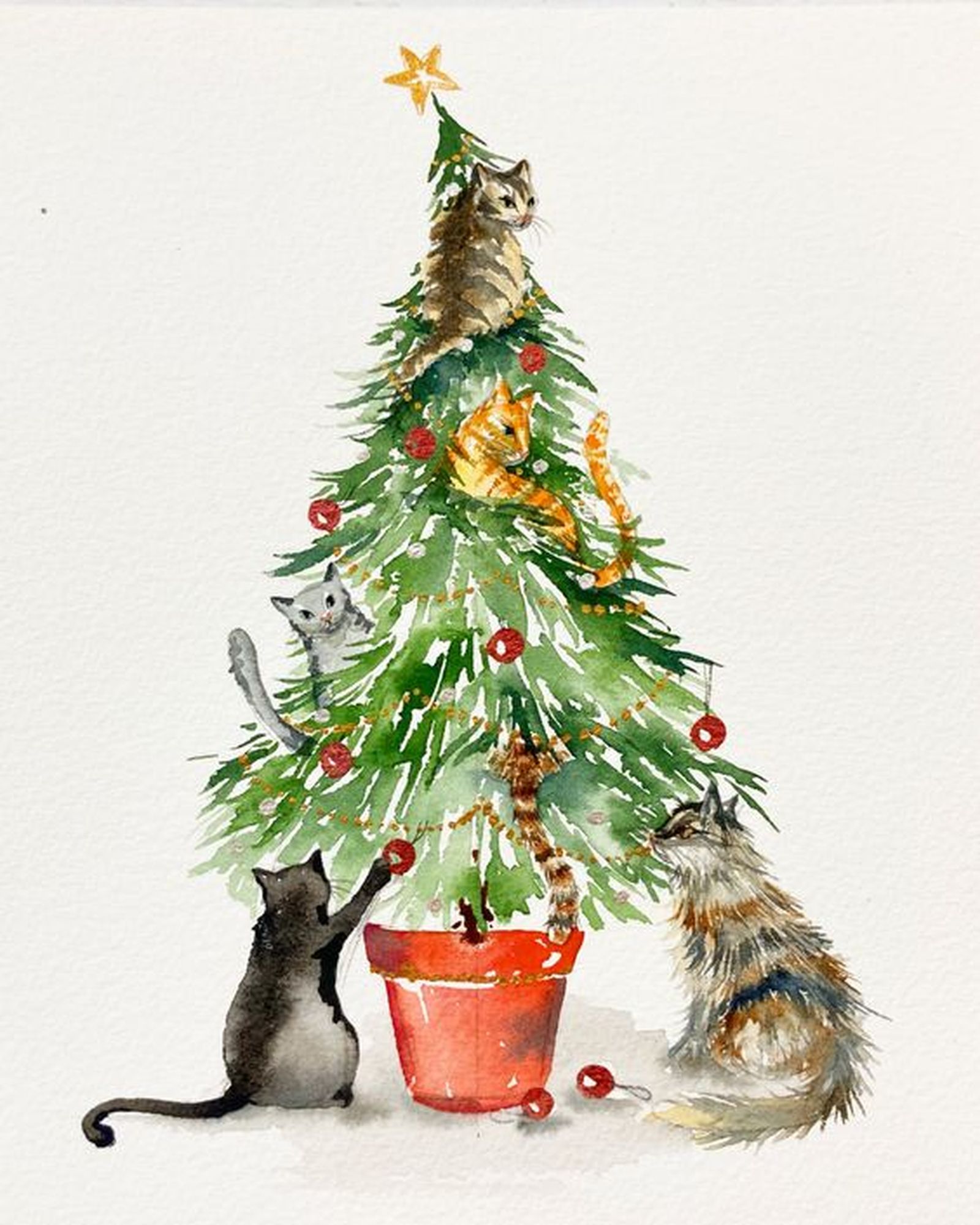 acuarela navidad gatos acuarela navidad gatos