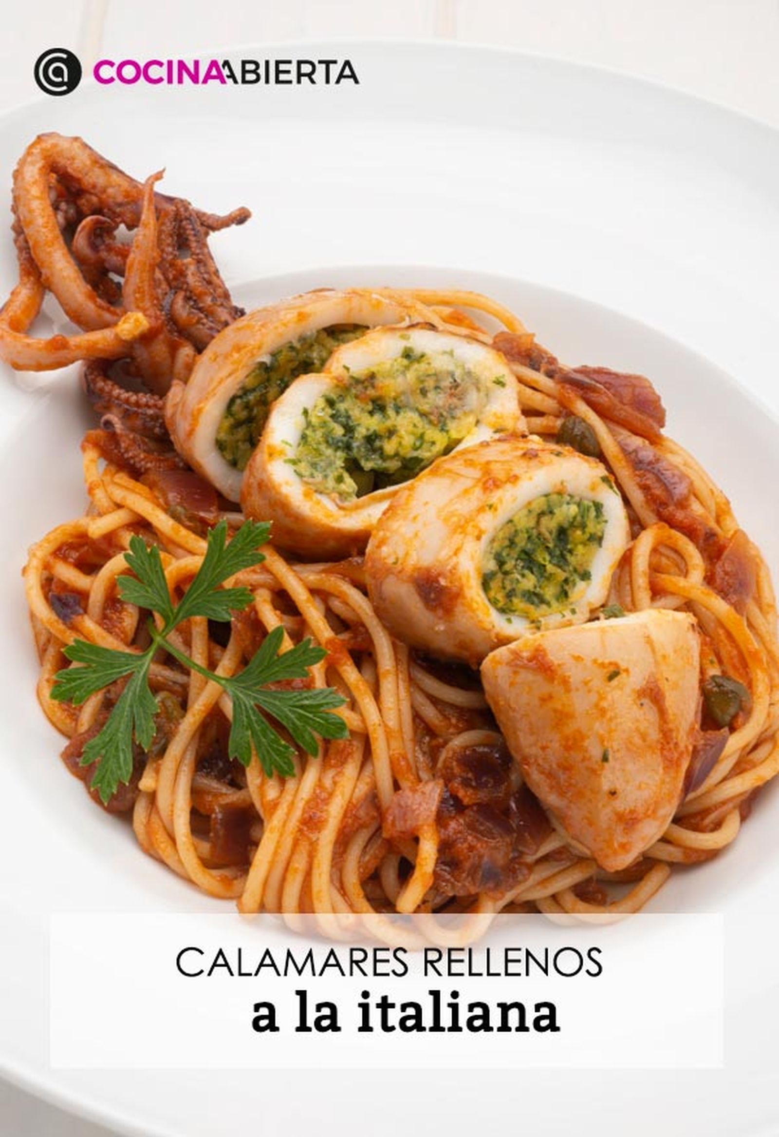 karl6604 calamares italiana v karl6604 calamares italiana v