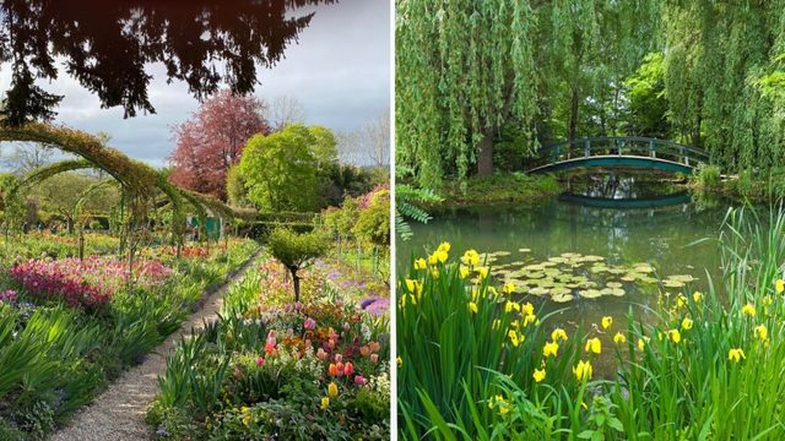 Jardines de Claude Monet. Jardines de Claude Monet.
