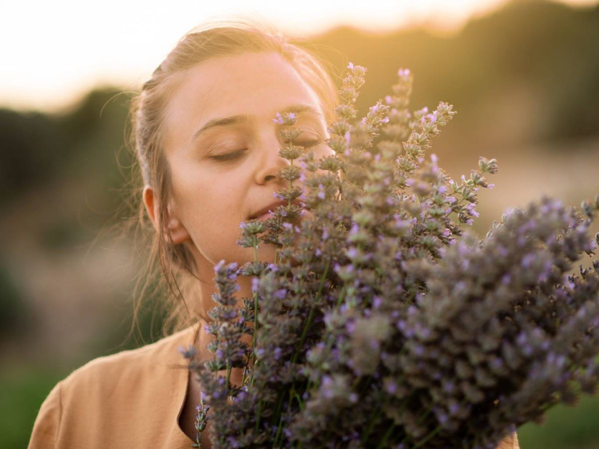 La calathea, popular por sus hojas con patrones únicos y su movimiento diario.