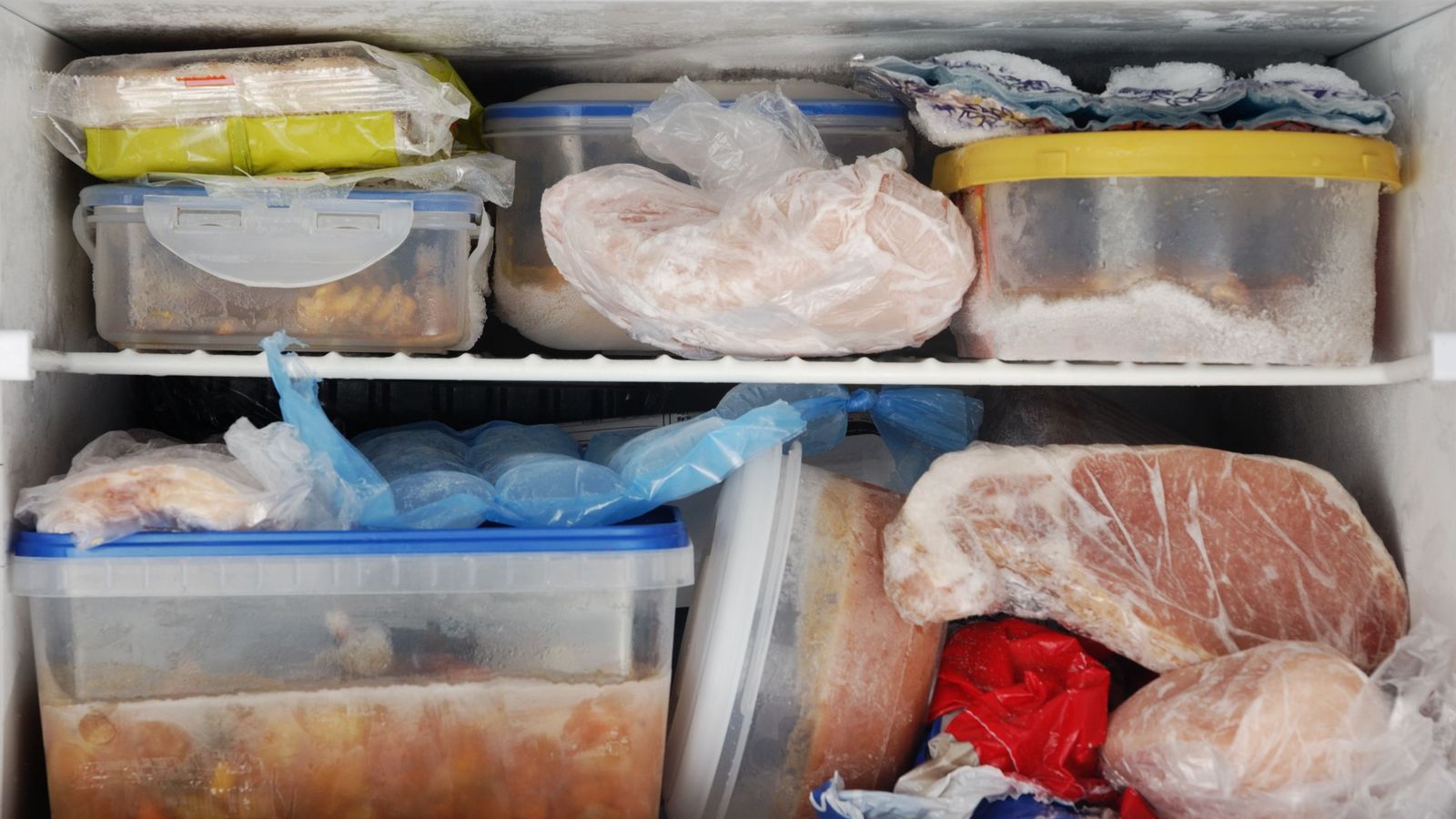 La congelación no mata casi ningún organismo