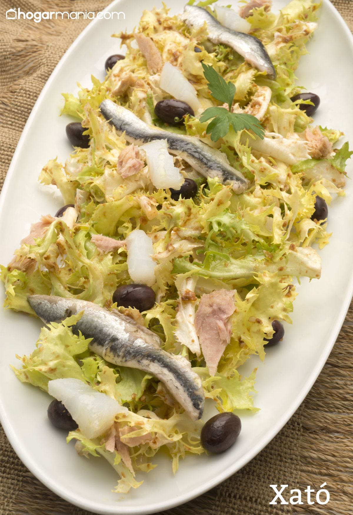 6112 1 Xato vertical xl