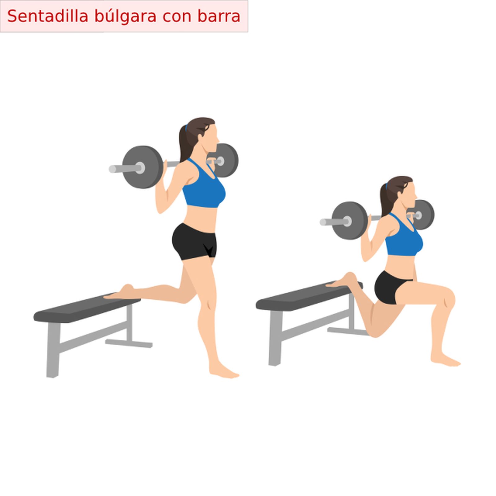 5 ejercicios para fortalecer gluteos con peso sentadilla bulgara barra 5 ejercicios para fortalecer gluteos con peso sentadilla bulgara barra