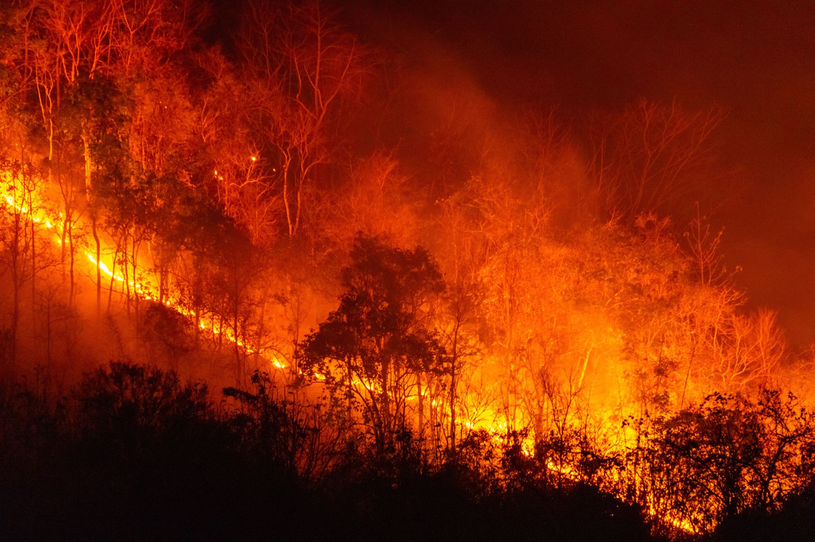 La prevención es clave para evitar incendios