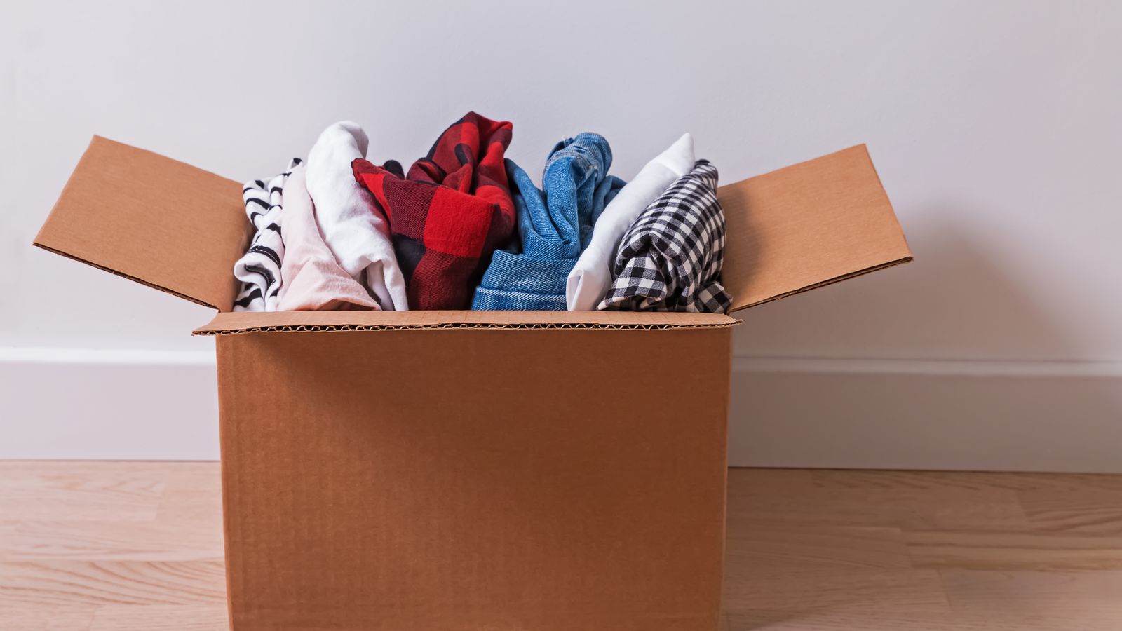 Utiliza cajas y bolsas adecuadas para guardar la ropa