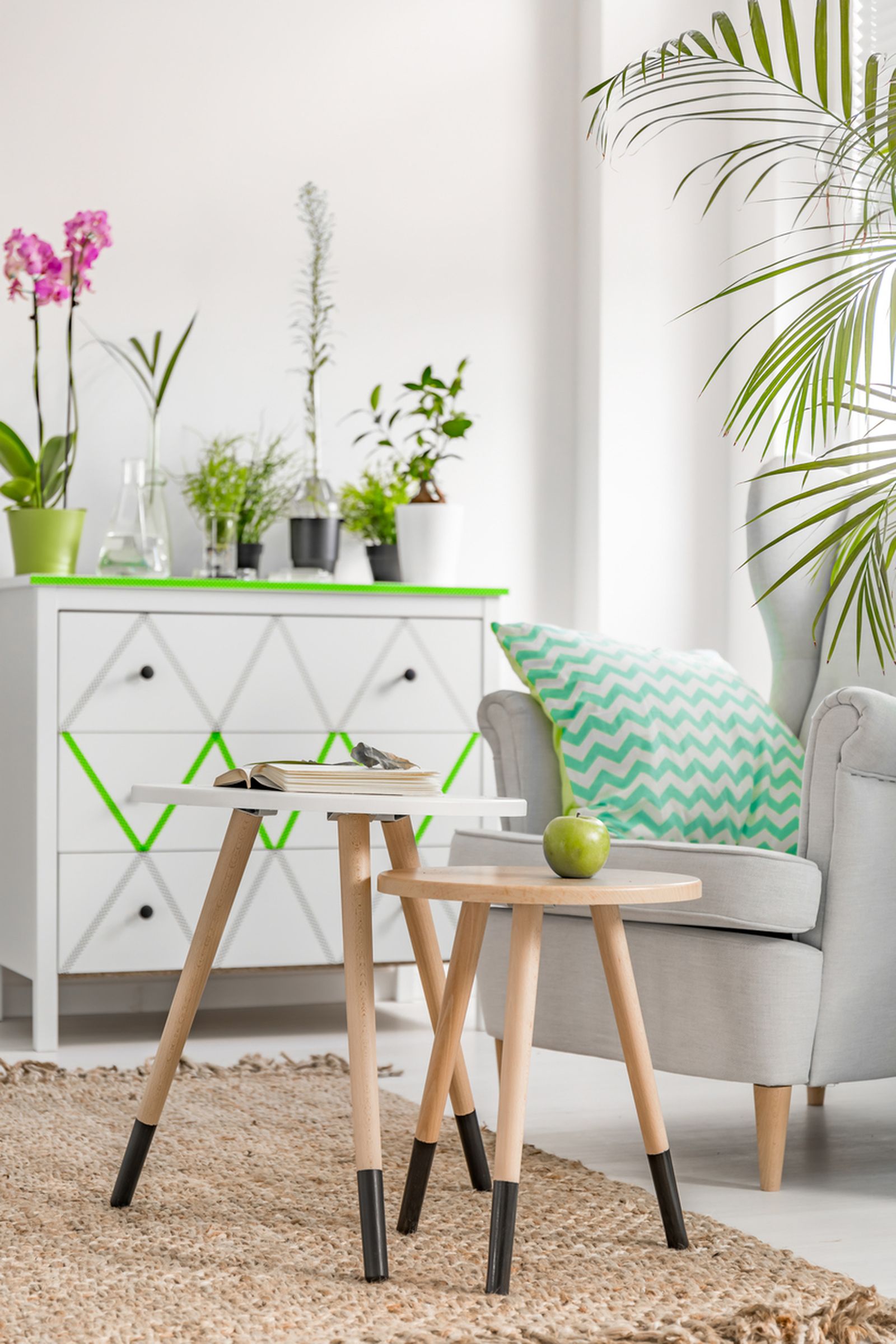 plantas=decoracion2 plantas=decoracion2