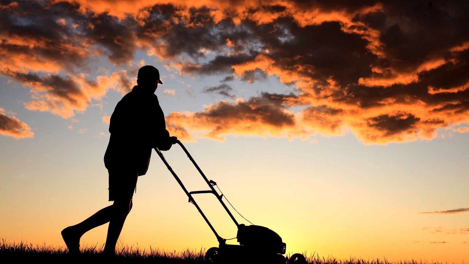 Corta el cesped pronto por la mañana, aprovechando que está mojado por el rocío
